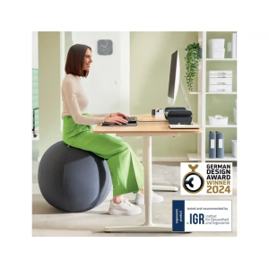 Balon de asiento leitz active 55 cm antideslizante color gris oscuro