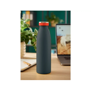 Botella portaliquidos leitz cosy 500 ml color gris