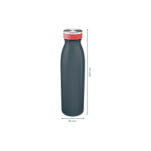 Botella portaliquidos leitz cosy 500 ml color gris