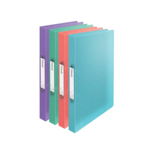 Carpeta esselte colour...