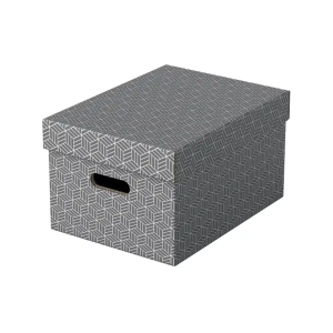 Caja de almacenaje esselte...
