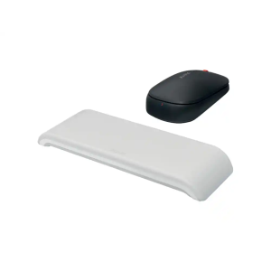Raton leitz cosy inalambrico dual 4000 dpi usb-a nano 2,4 ghz color gris