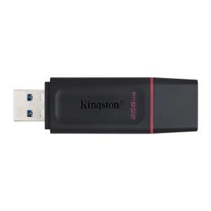Memoria kingston pendrive exodia 256gb