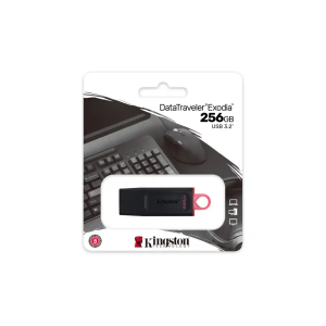 Memoria kingston pendrive exodia 256gb