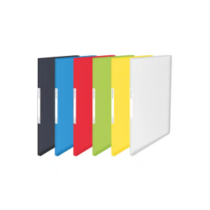 Carpeta esselte vivida...