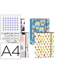CARPETA LIDERPAPEL DIN A4...