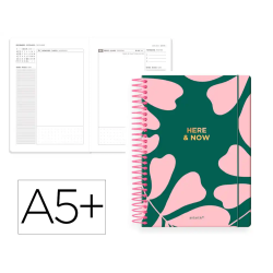 Agenda espiral antartik...