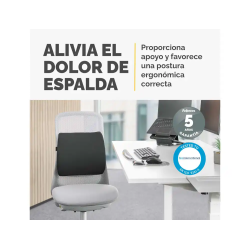 Respaldo ergonomico fellowes lumbar acolchado breyta comfort color negro 330x380x90 mm