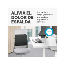 Respaldo ergonomico fellowes lumbar acolchado breyta comfort color negro 330x380x90 mm