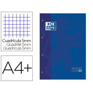 Recambio color 1 oxford din...