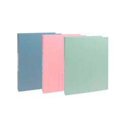 Carpeta de 2 anillas 30 mm...