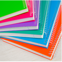 Blocs y cuadernos escolares