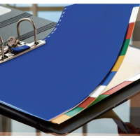 Separadores de Documentos | Organización Fácil y Profesional