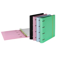 Carpetas de Plástico con Anillas | Protección y Organización de Documentos