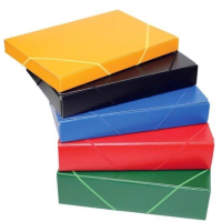 Carpetas para Proyectos y Listados | Organización Profesional de Documentos